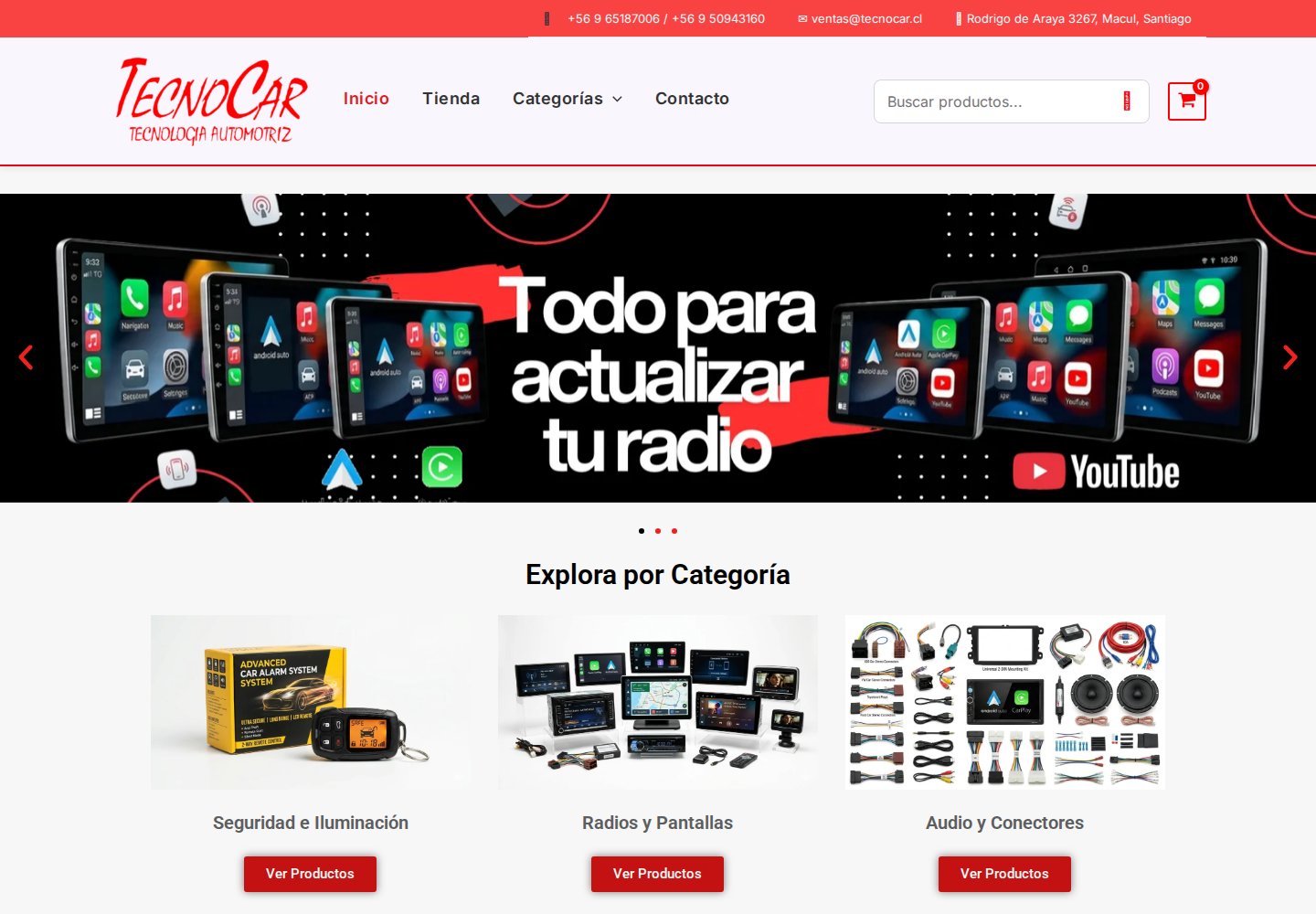 Vista del sitio web Tecnocar